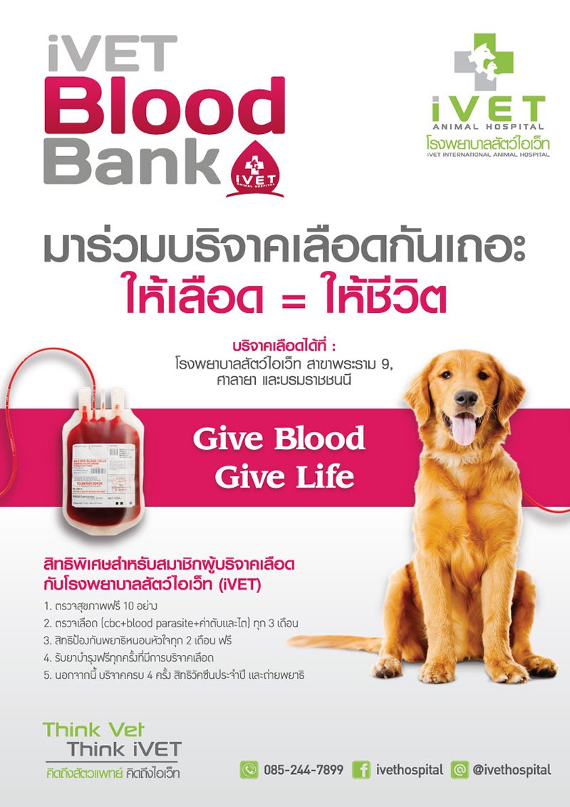 iVET Blood Bank มาร่วมบริจาคเลือดกันเถอะ